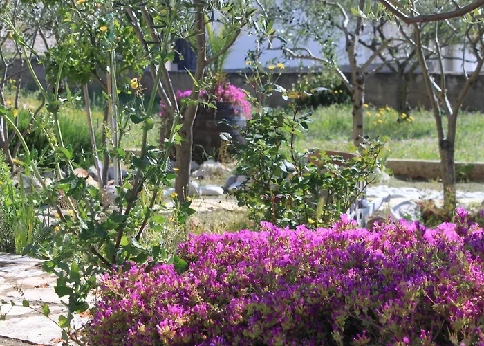 With Parking Space Stari Grad, Hvar - 8708 דירה